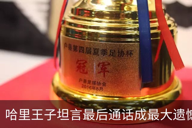 哈里王子坦言最后通话成最大遗憾：当时只想跑去玩